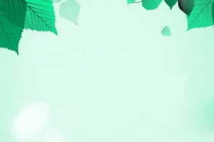 清新的淡绿色场景H5背景