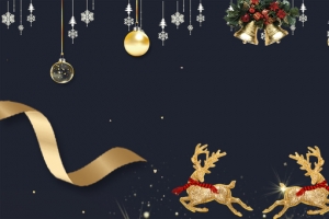 圣诞节麋鹿卡通丝带黑金banner