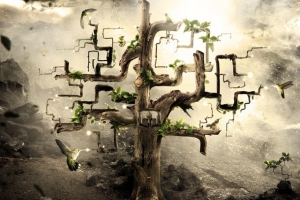 免费下载高清PNG透明背景卡通手绘后期合成植物窗户设计素材