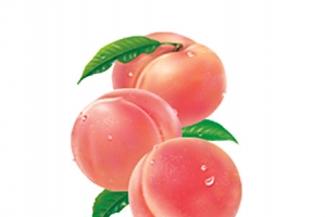 桃子透明素材图片