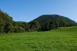 田野 树木 山丘 自然 风景 4k壁纸 3840x2160