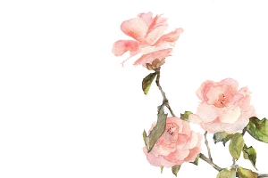 水墨淡粉花朵