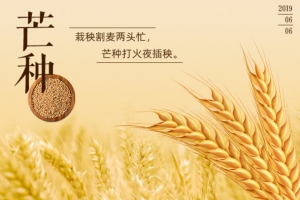 二十四节气，24