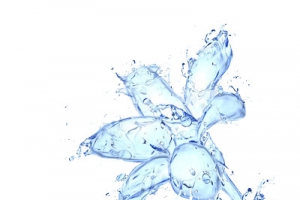 水做的花