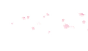 花瓣漂浮