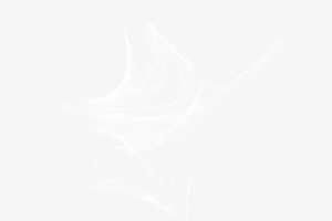 合成蜘蛛网