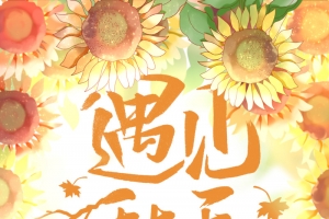 秋天遇见秋天向日葵落叶