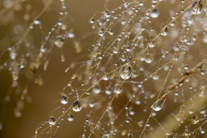 滴 水 雨 草 模糊 4k壁纸 3840x2160