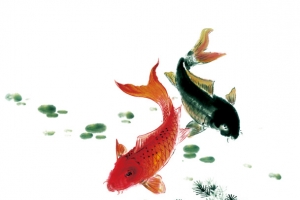 水墨红鲤鱼水草中国风