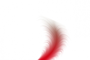 羽毛