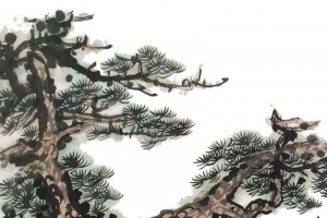 一幅松树国画png