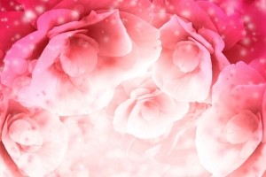 梦幻粉色发光花朵