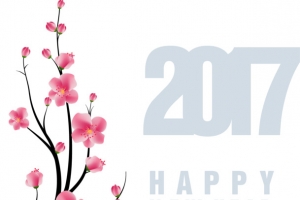 2017年