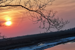 秋风落日夕阳下