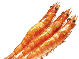 高清红色大虾海鲜PNG透明装饰元素设计素材免费下载