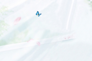外国小孩母亲节温馨简约蓝banner