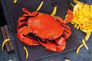 海鲜大闸蟹促销宣传