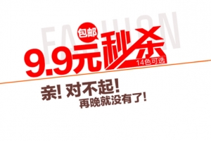 9.9元秒杀