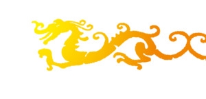 矢量金龙