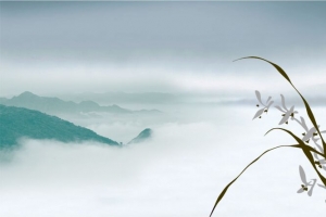 中国风兰花背景