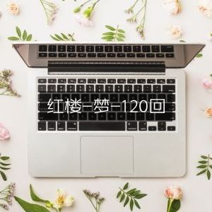 红楼梦全集120回
