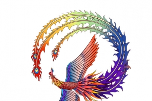 凤凰 彩色 中国风 国潮 插画 手绘