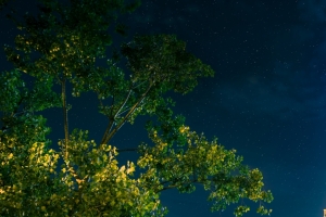 埃菲尔铁塔夜景3440x1440壁纸