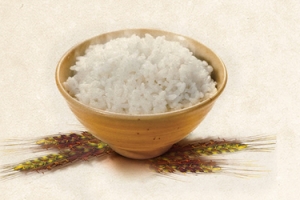 二十四节气芒种米饭简约淘宝电商banner