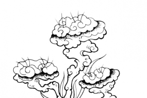 手绘灵芝