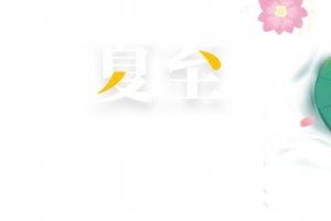 夏至手绘荷叶夏日元素
