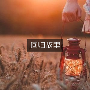 重返故乡，文学艺术书籍精选
