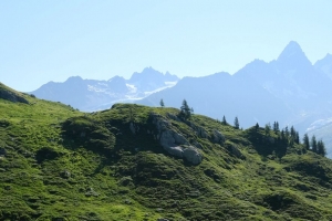草 坡 山 石头 自然 4k壁纸 3840x2160