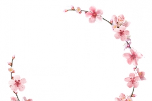 桃花花环粉色