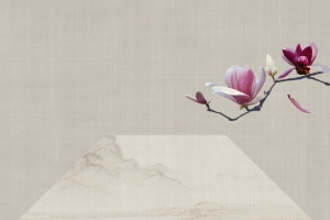 中国风工笔画玉兰水墨画H5背景素材