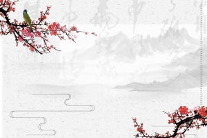 简约医疗妙手仁心宣传