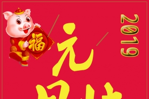 猪年元旦快乐鸭