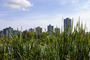 建筑 草 城市 植物 4k壁纸 3840x2160