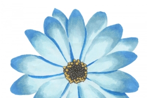 蓝色花卉