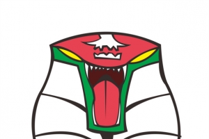 纹饰图纹纹样 0064