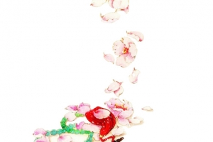 花瓣扇子带雪花