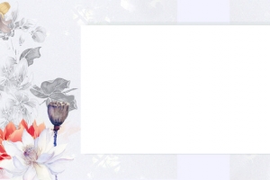 莲花与锦鲤彩色中国风banner