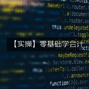 实操指南，零基础入门会计