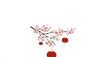 腊梅灯笼