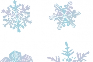 冬天 霜降  雪花