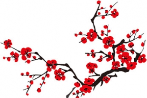 中国风水墨梅花