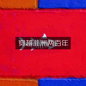 穿越非洲，两百年历史文化探索之旅