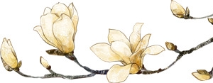 花枝