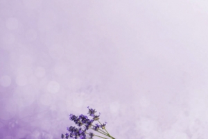 淘宝护肤紫色梦幻薰衣草banner