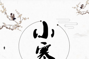 唯美二十四节气小寒背景模板