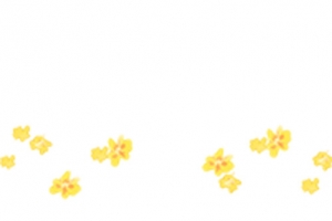 花瓣高清PNG透明漂浮元素设计素材免费下载